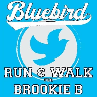 Bluebird icon